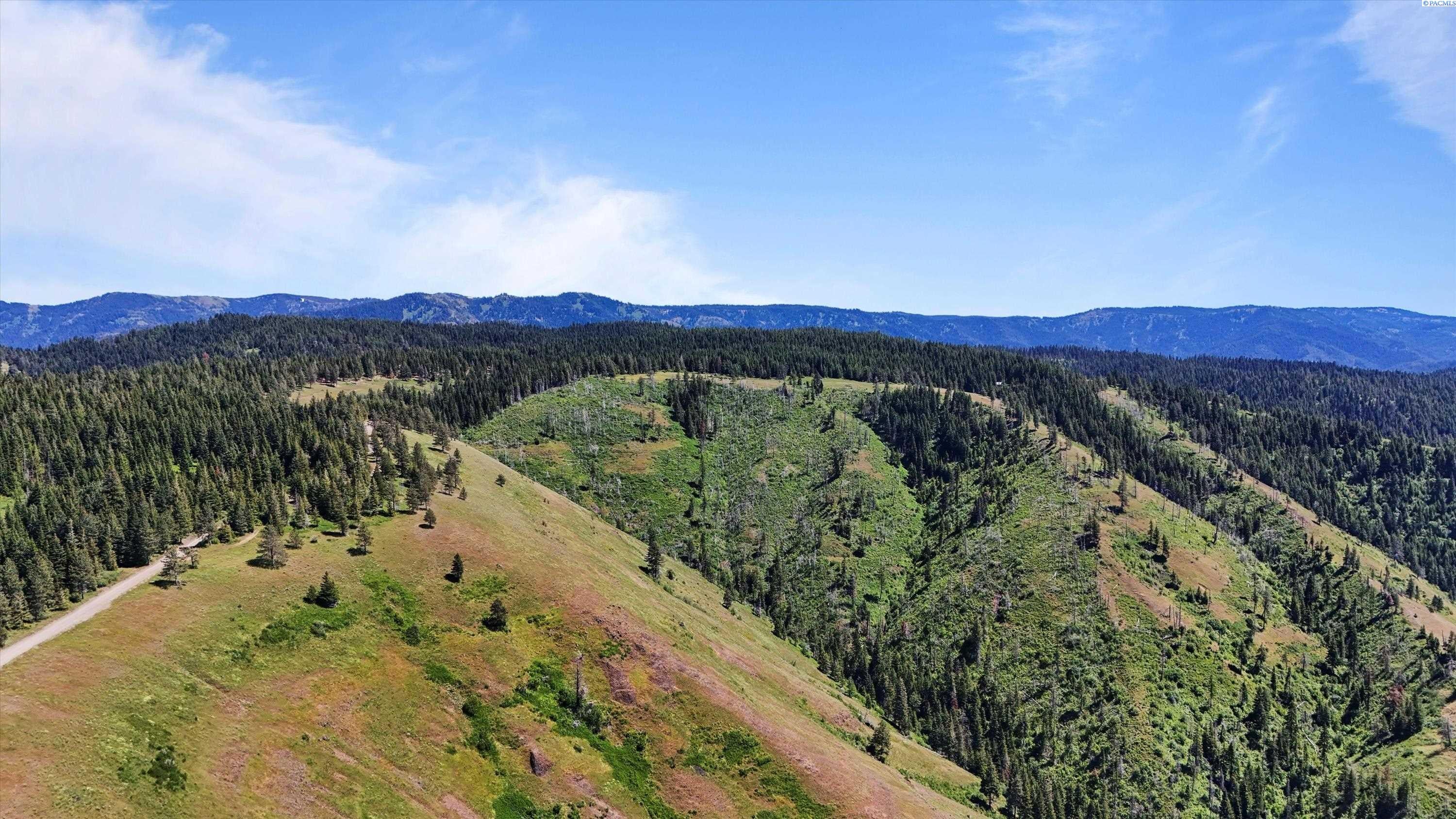 Unk10 Blacksnake Ridge Road Walla Walla, WA 99362 - Photo 18 of 48 Gallery Image 18