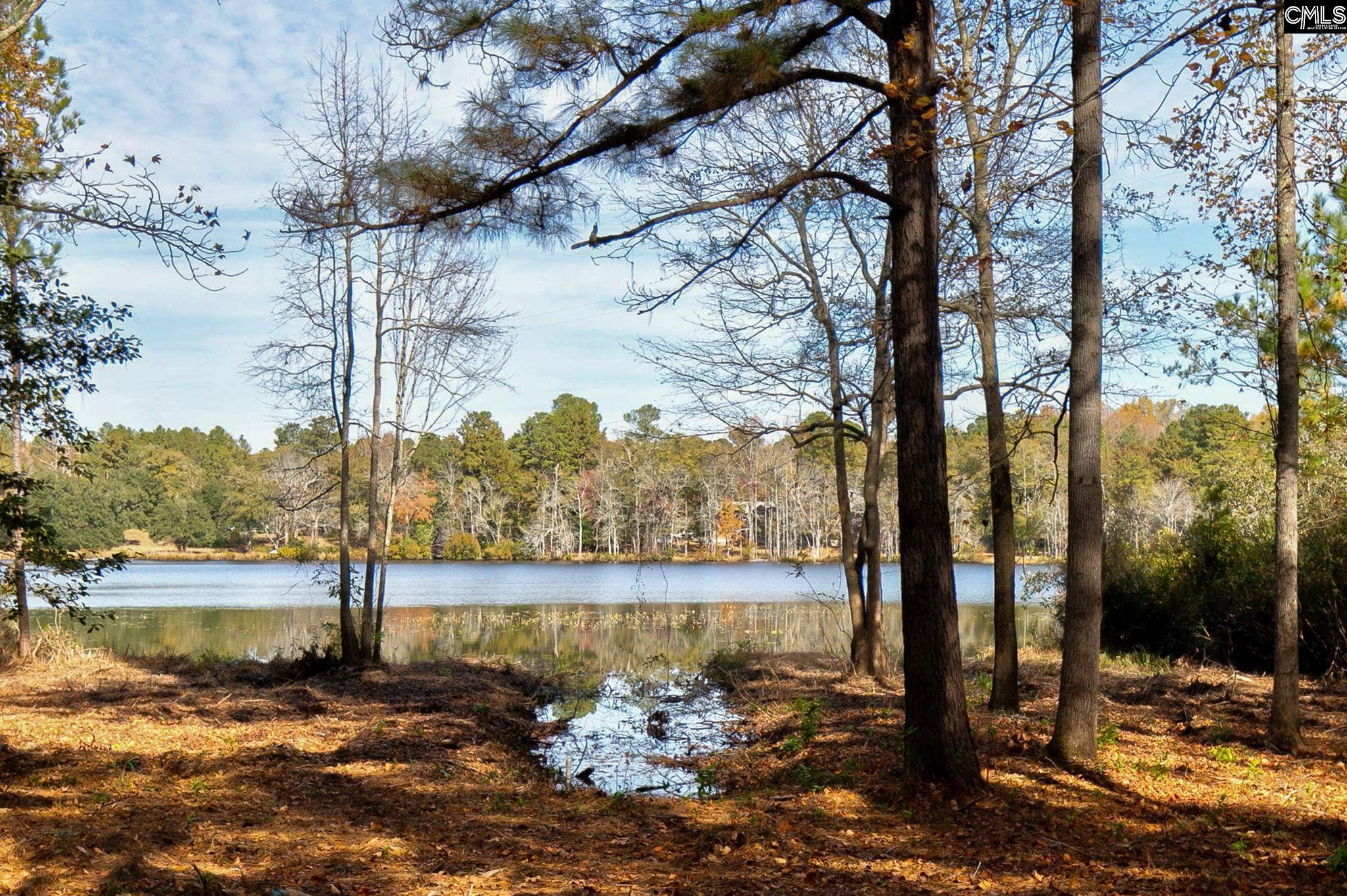 42 Brookwood Road Camden, SC 29020 - Photo 5 of 61
