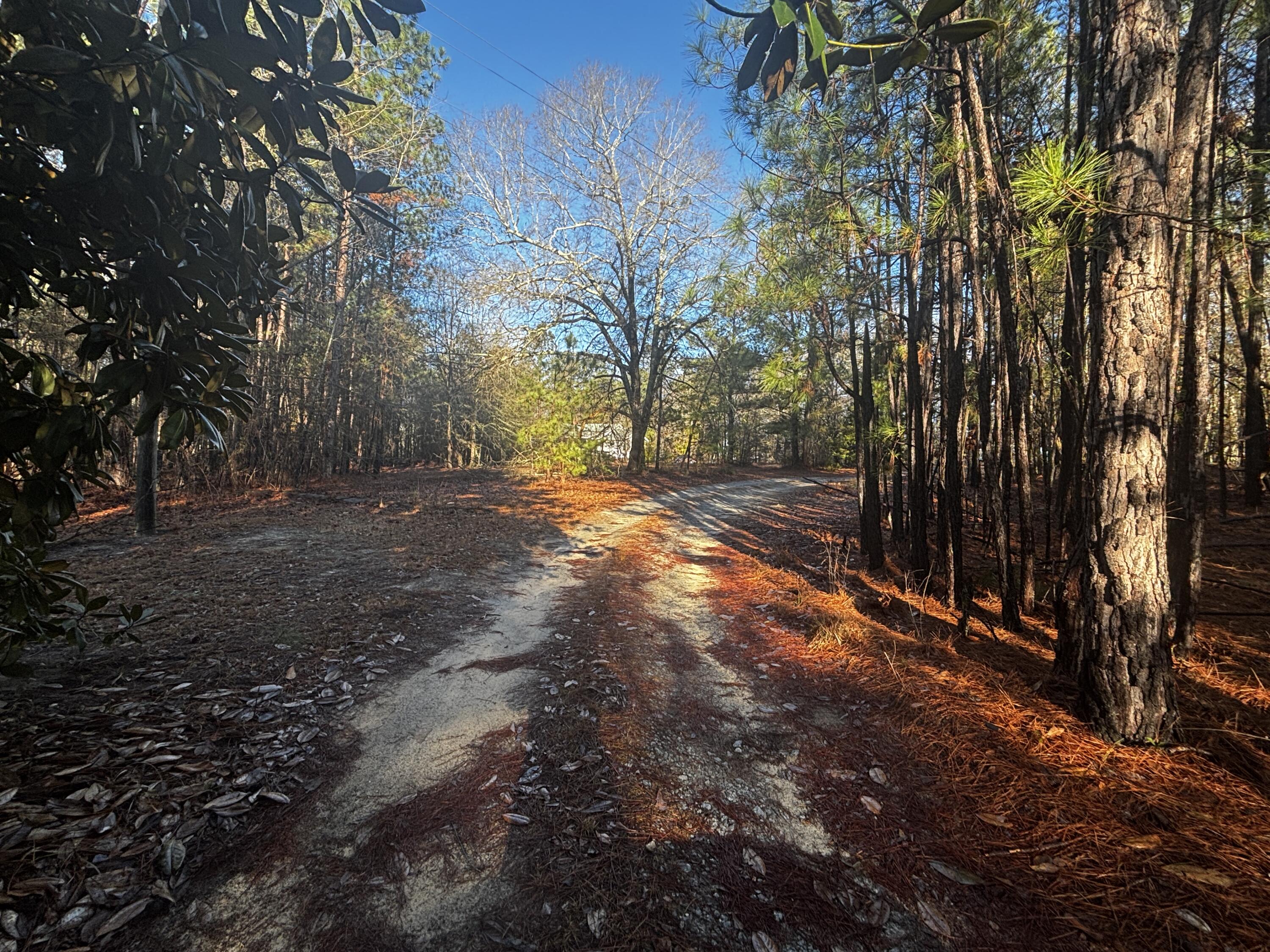 189 Whiteoak Campground Road Thomson, GA 30824 - Photo 29 of 32 IMG_2270