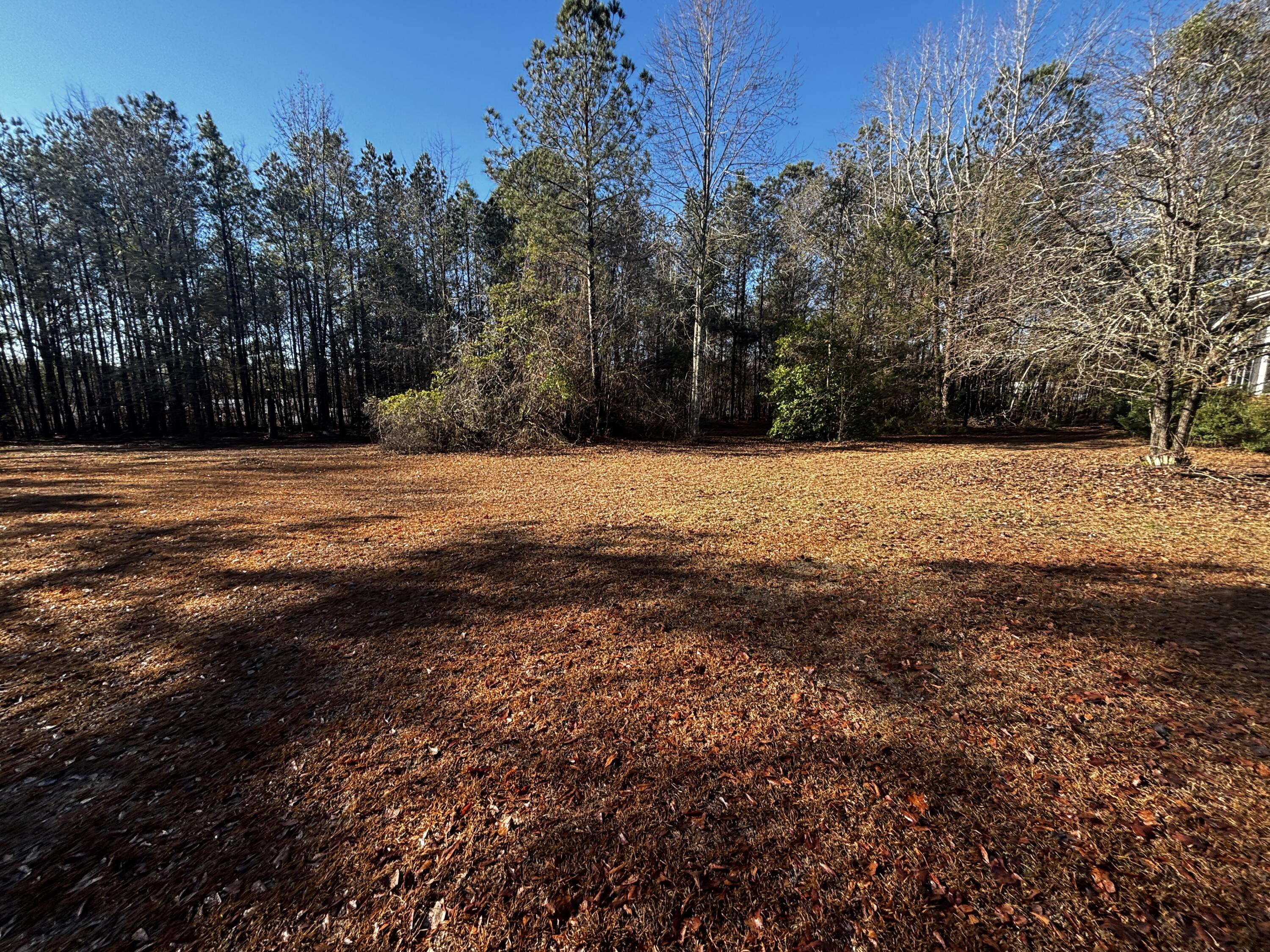 189 Whiteoak Campground Road Thomson, GA 30824 - Photo 31 of 32 IMG_2333