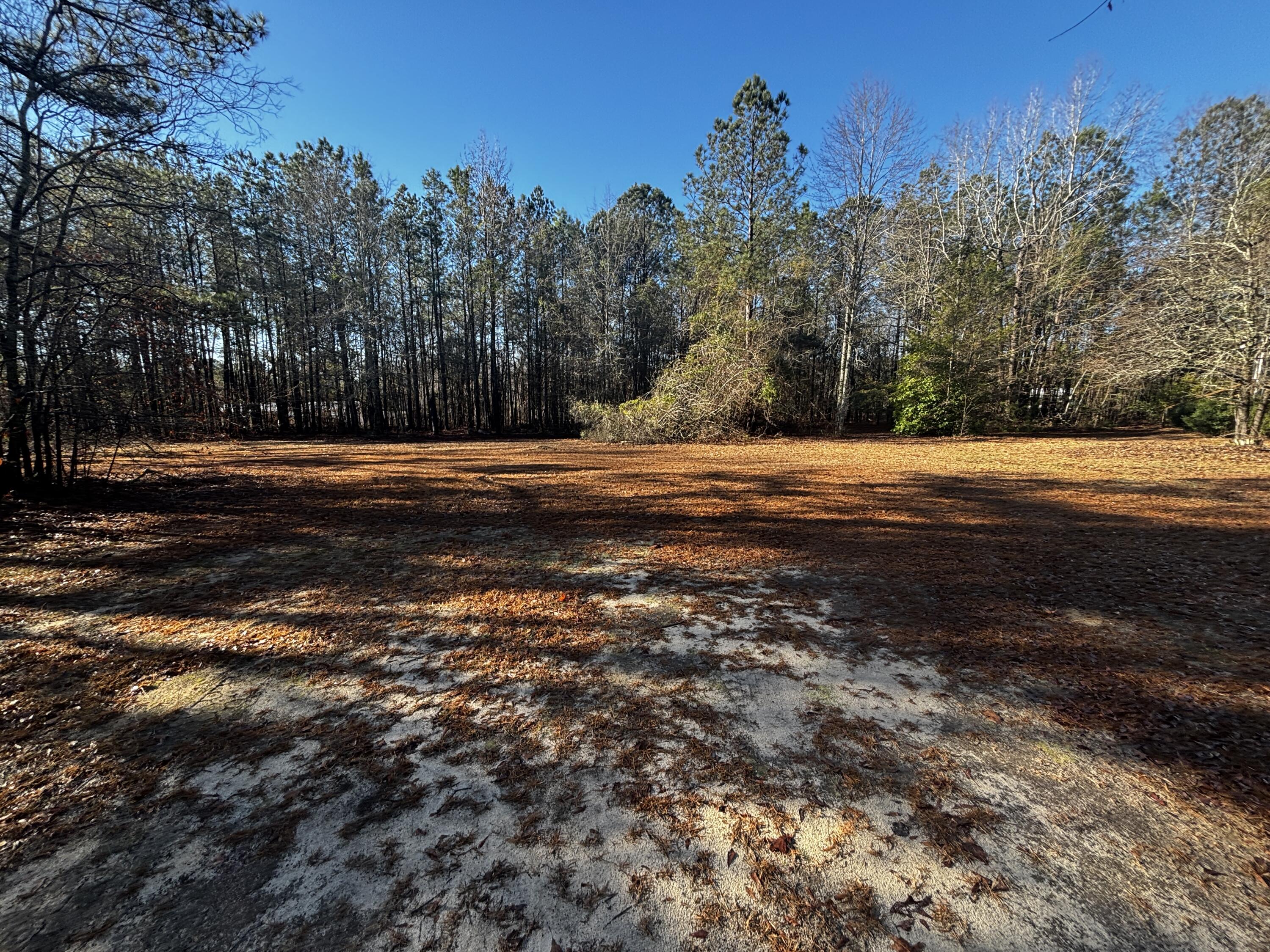 189 Whiteoak Campground Road Thomson, GA 30824 - Photo 32 of 32 IMG_2334