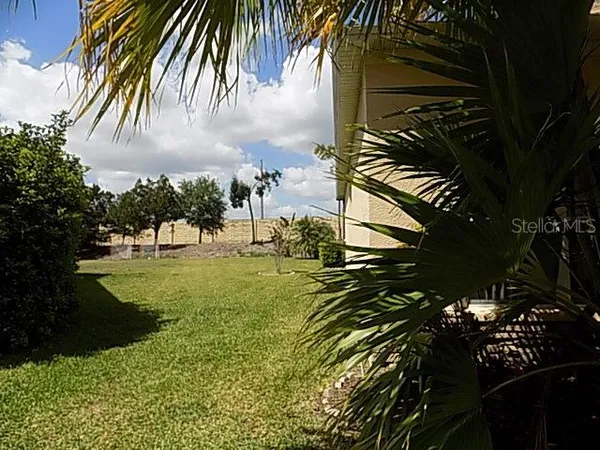 a view of a yard with plants