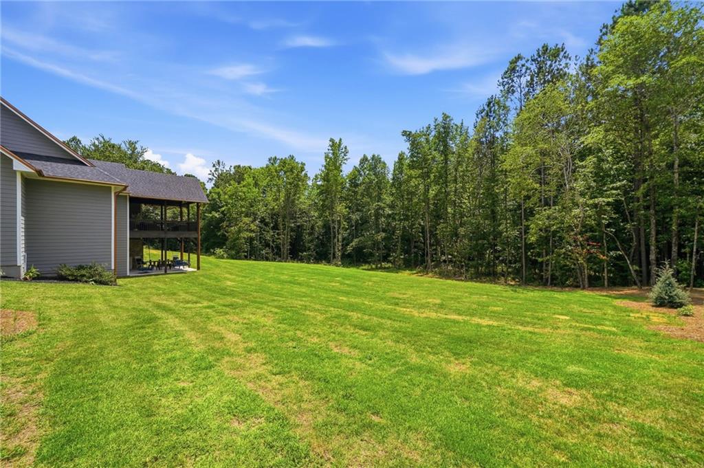 24 Simpson Road Bremen, GA 30110 - Photo 76 of 88