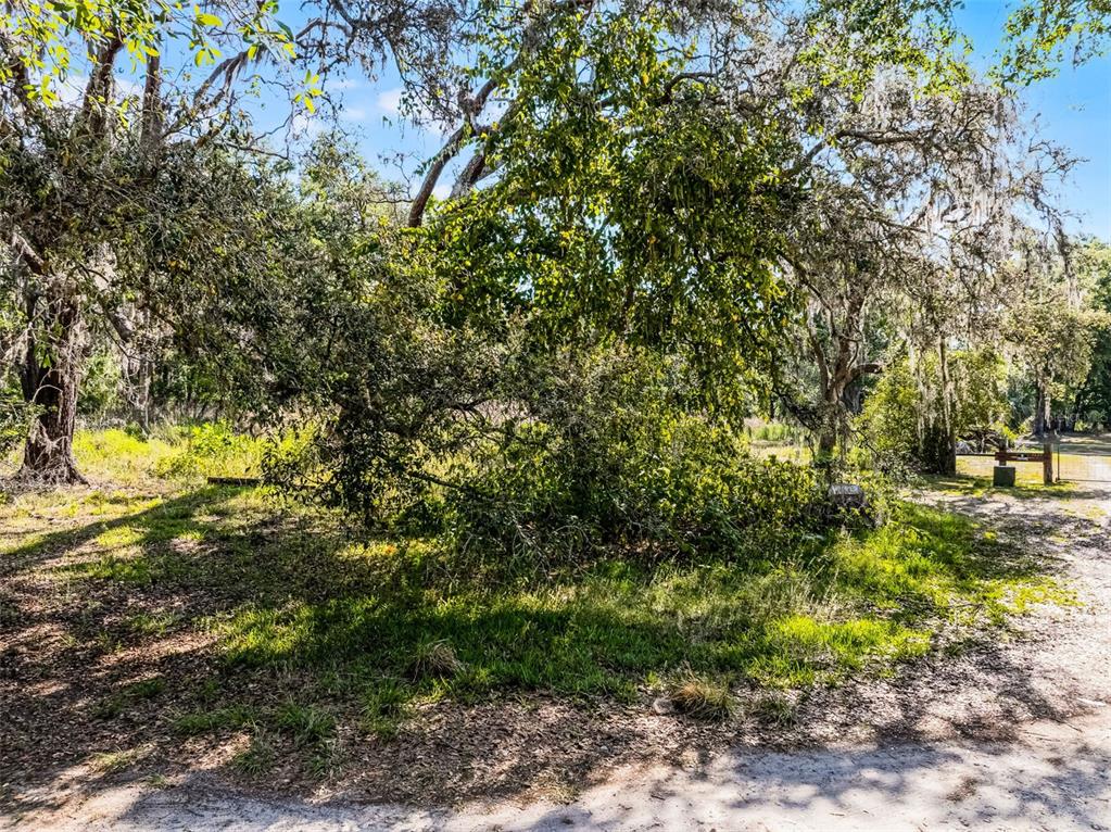 3633 Panther Path Road Lutz, FL 33559 - Photo 12 of 23
