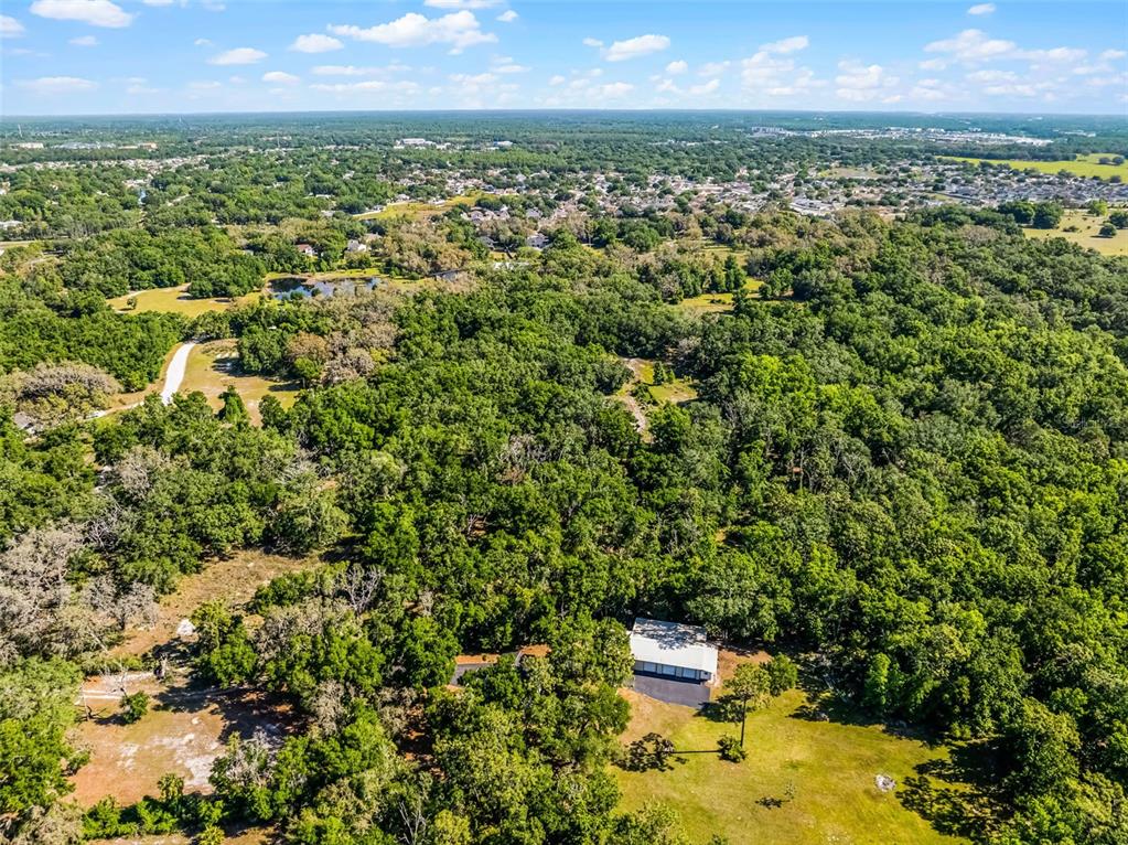 3633 Panther Path Road Lutz, FL 33559 - Photo 15 of 23