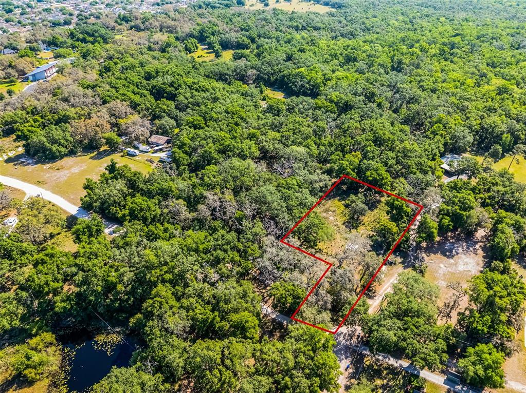 3633 Panther Path Road Lutz, FL 33559 - Photo 17 of 23