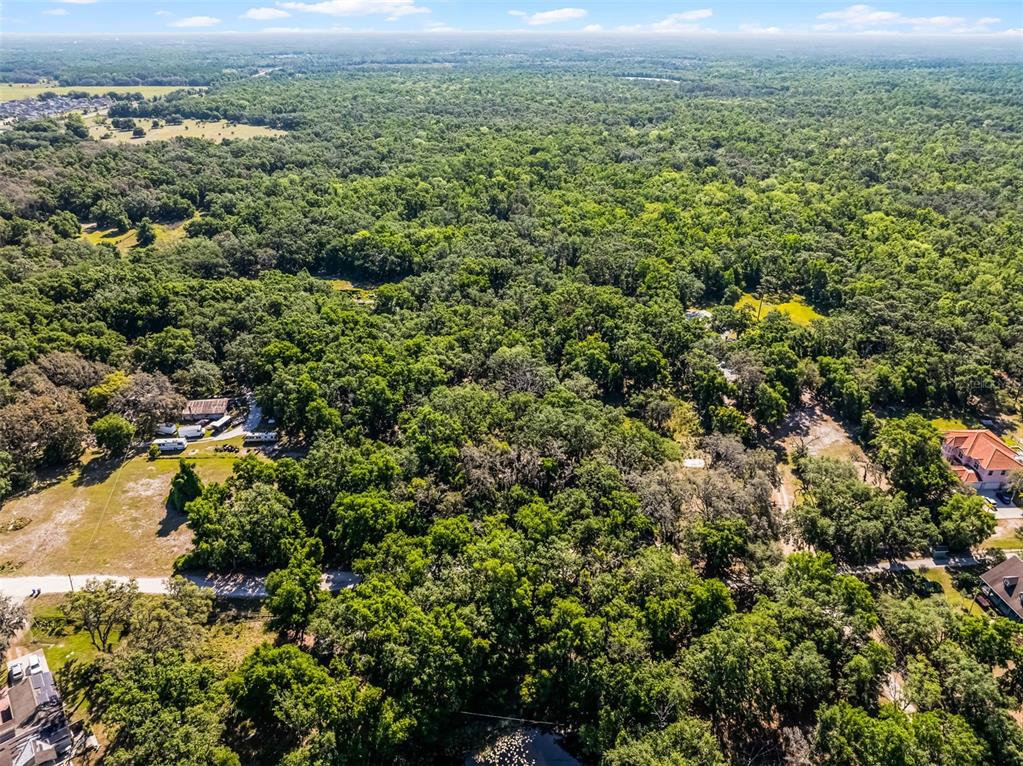 3633 Panther Path Road Lutz, FL 33559 - Photo 18 of 23