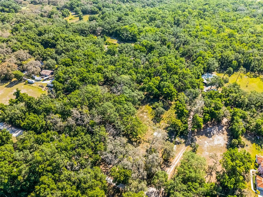 3633 Panther Path Road Lutz, FL 33559 - Photo 19 of 23