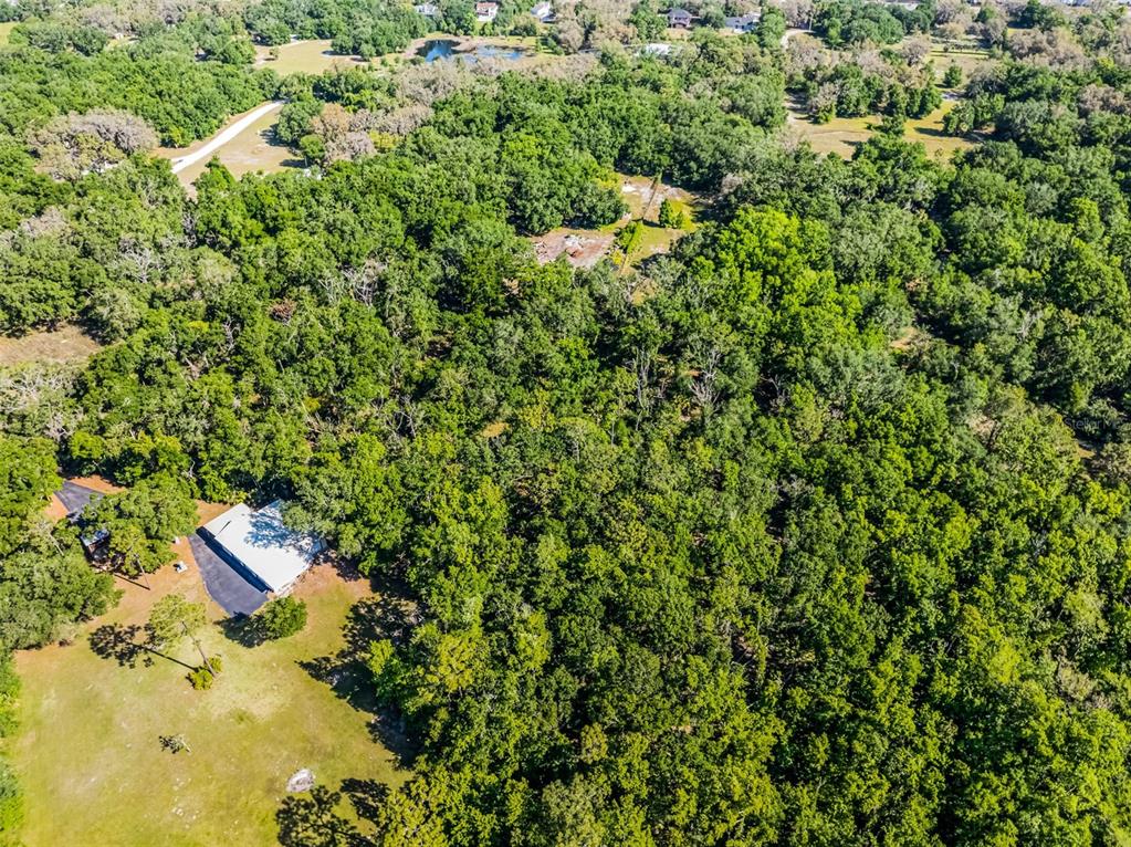 3633 Panther Path Road Lutz, FL 33559 - Photo 20 of 23