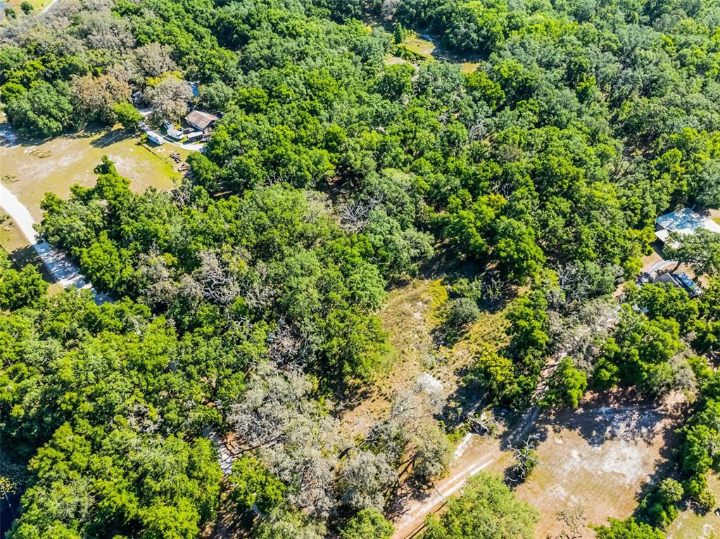 3633 Panther Path Road Lutz, FL 33559 - Photo 21 of 23