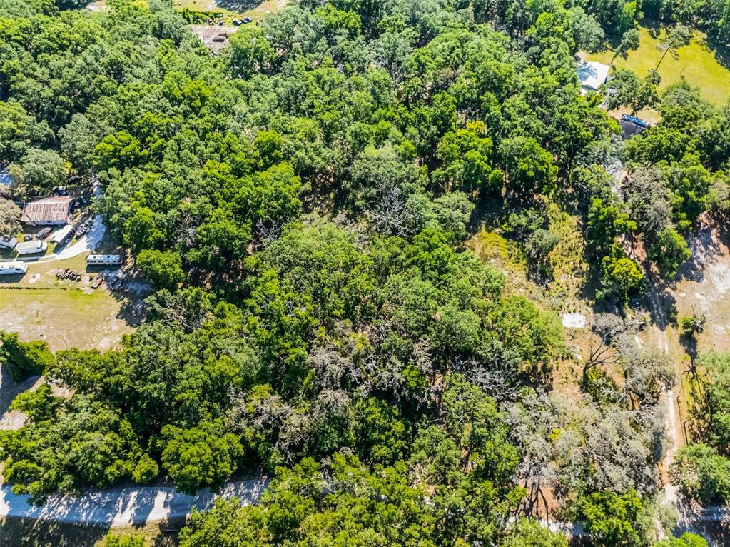 3633 Panther Path Road Lutz, FL 33559 - Photo 22 of 23