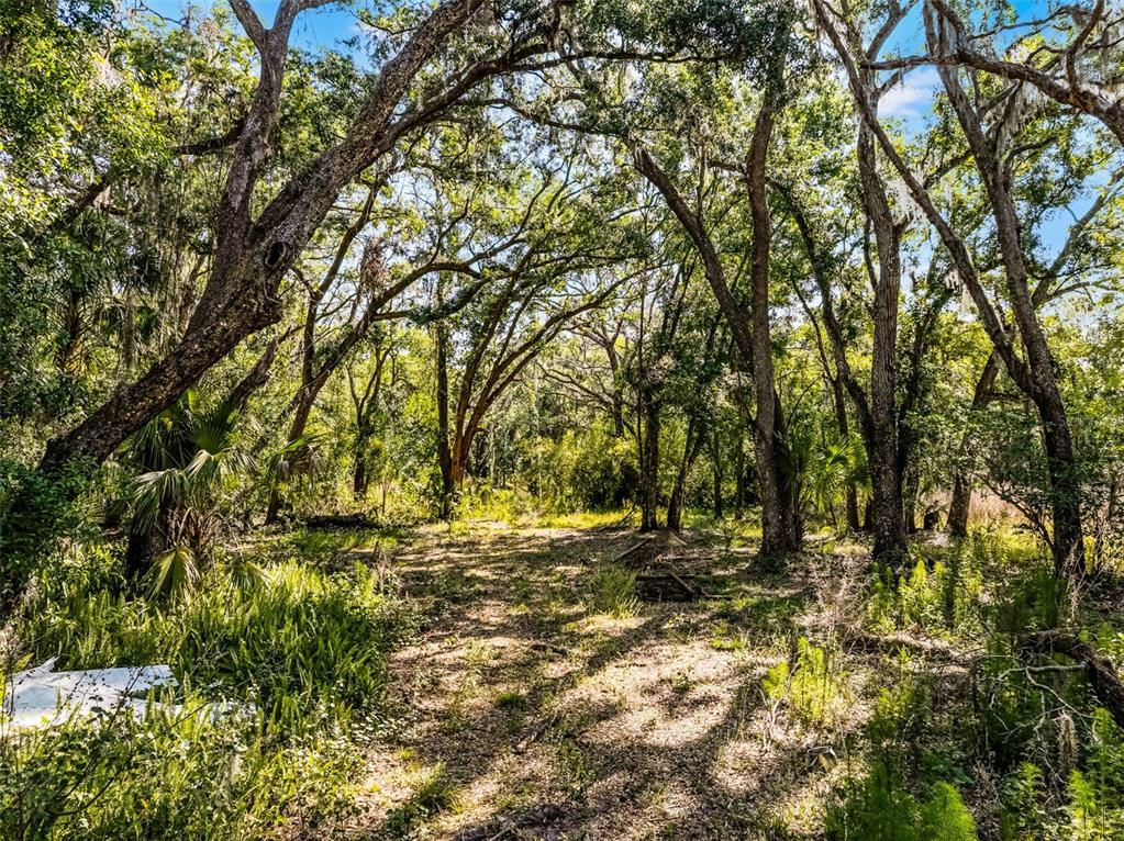 3633 Panther Path Road Lutz, FL 33559 - Photo 4 of 23