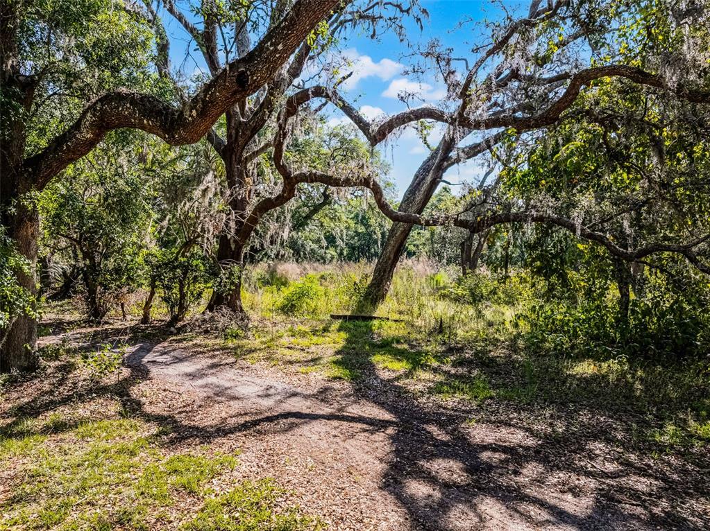 3633 Panther Path Road Lutz, FL 33559 - Photo 6 of 23