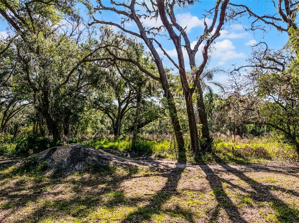3633 Panther Path Road Lutz, FL 33559 - Photo 7 of 23