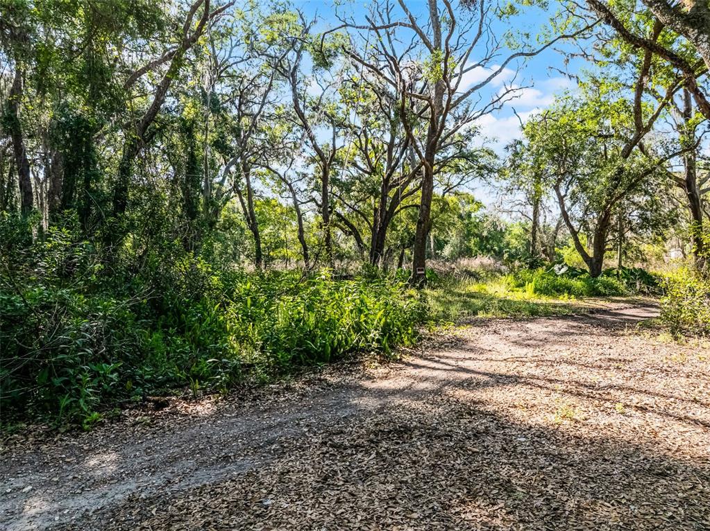 3633 Panther Path Road Lutz, FL 33559 - Photo 8 of 23