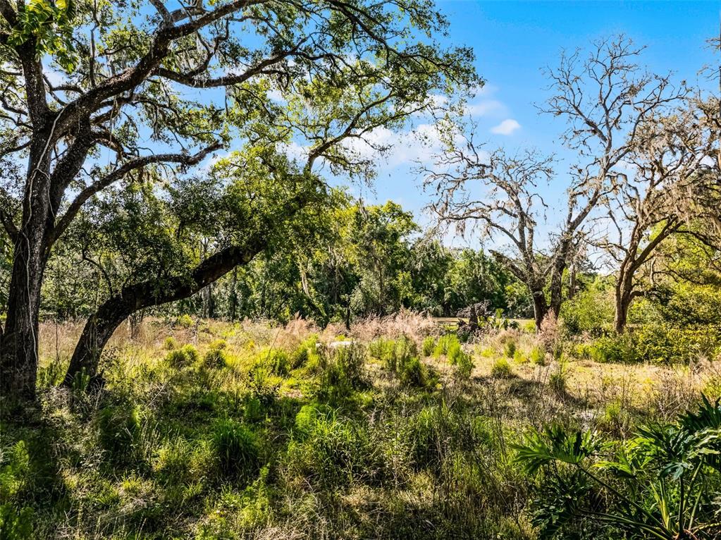 3633 Panther Path Road Lutz, FL 33559 - Photo 10 of 23