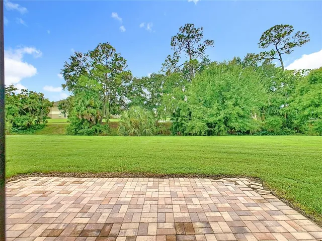 a view of a grassy field with trees