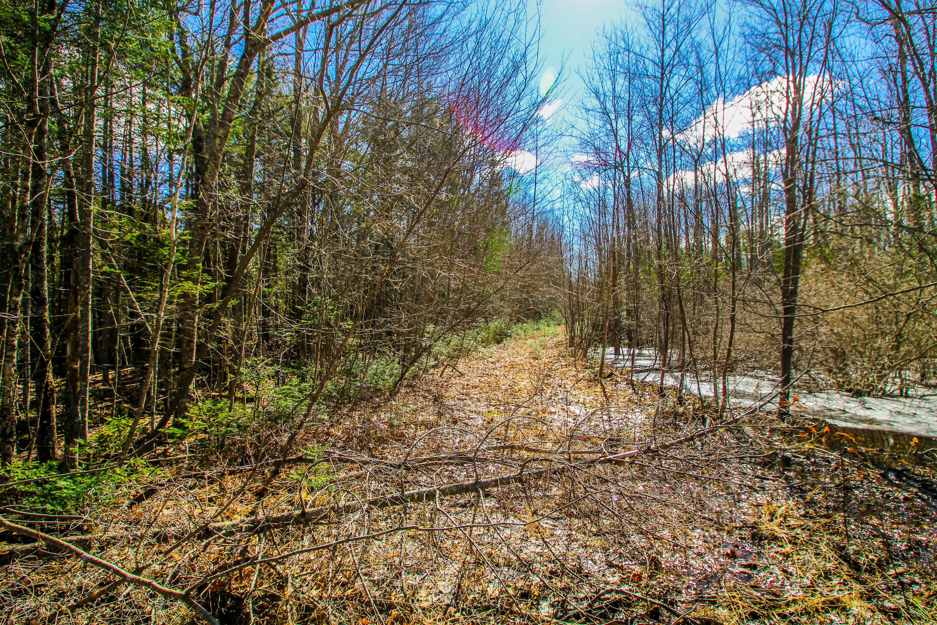 Lot 21 Belfast Road Northport, ME 04849 - Photo 19 of 23 Belfast Rd.-16