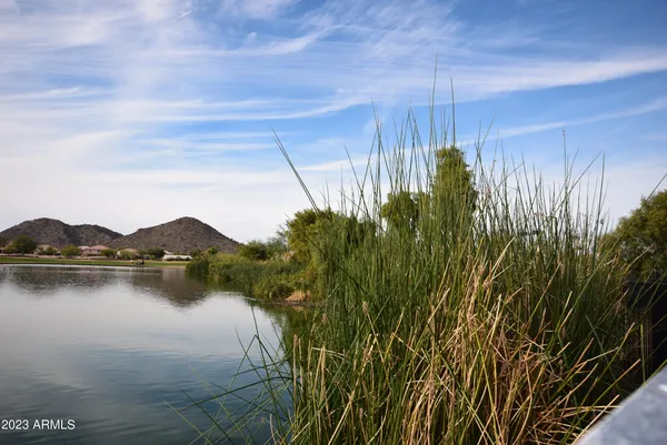 a view of a lake with plants and large trees