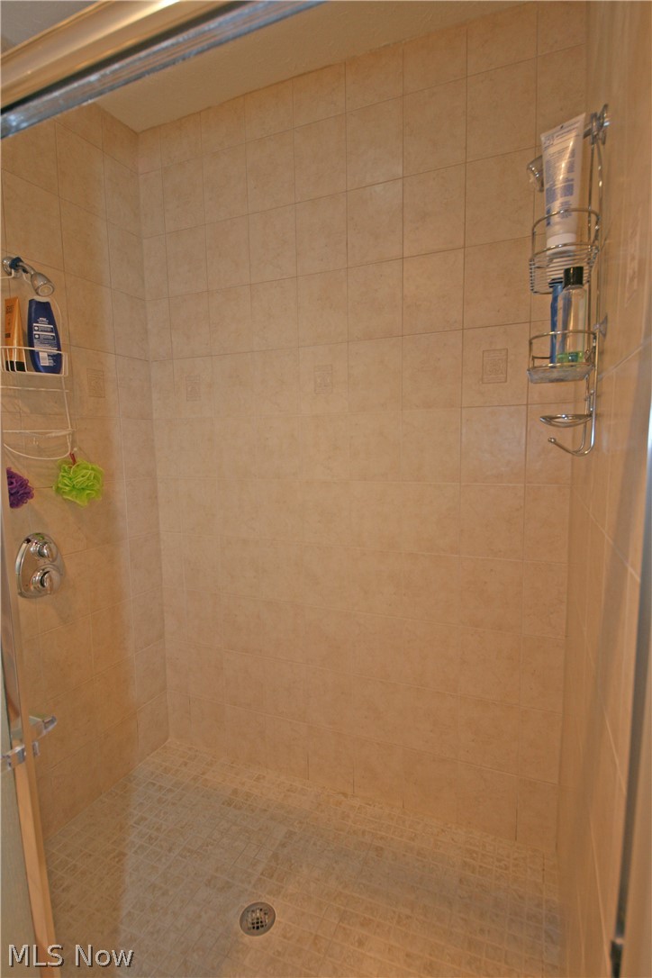 107 Timber Ridge Drive Elyria, OH 44035 - Photo 13 of 34 4' x 5' tile shower with 2 shower heads