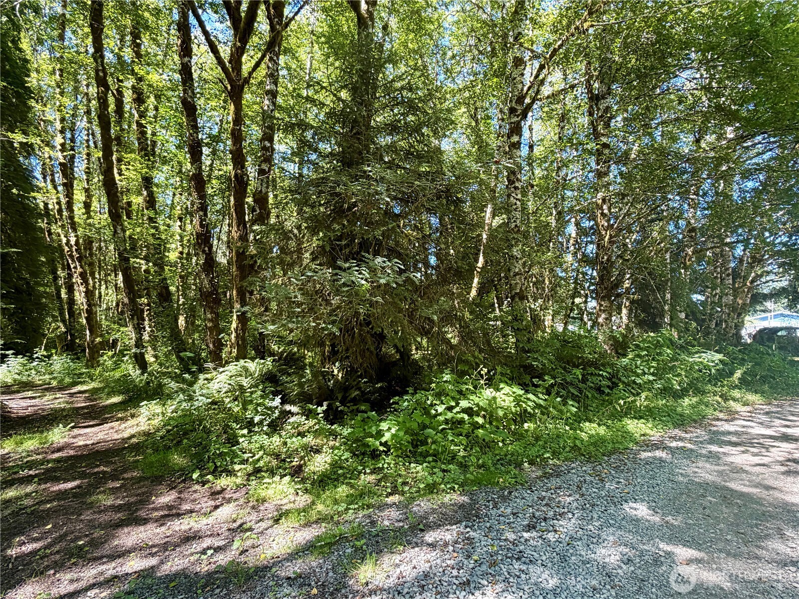 292 Sportsman Club Road Forks, WA 98331 - Photo 3 of 10 Gallery Image 3