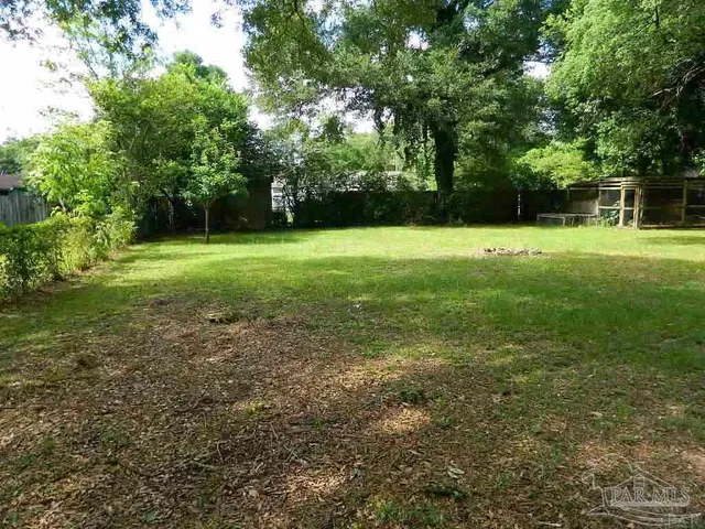 a view of a yard with a tree