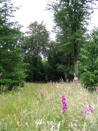 D3 East Bucktail View Belfair, WA 98528 - Photo 1 of 1 Gallery Image 1