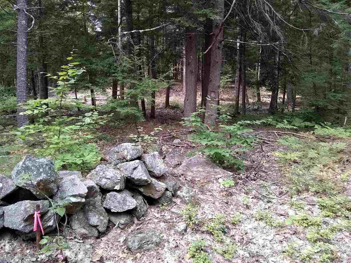 0 West Hill Road, Unit LOT 2614 Troy, NH 03465 - Photo 2 of 6 Gallery Image 2