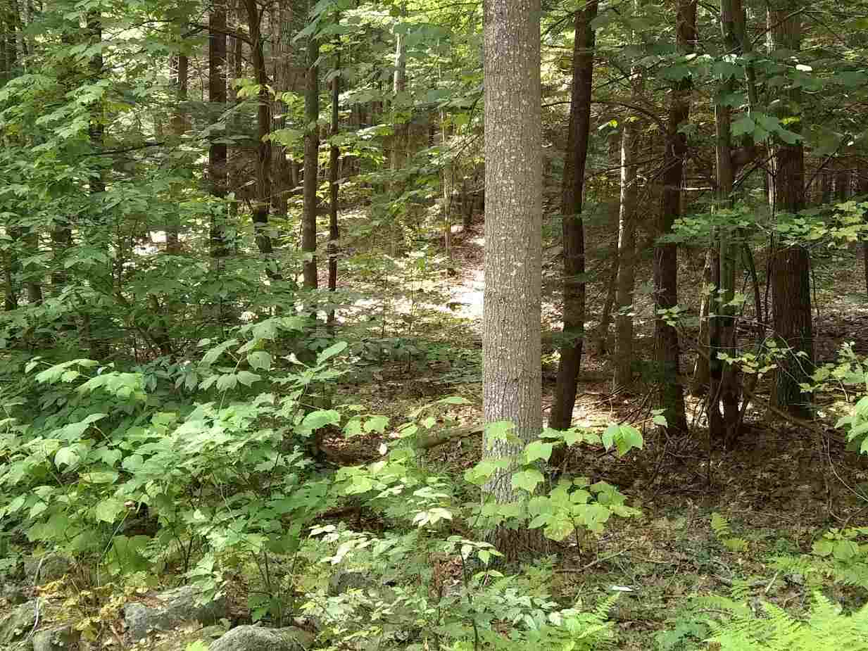0 West Hill Road, Unit LOT 2614 Troy, NH 03465 - Photo 3 of 6 Gallery Image 3