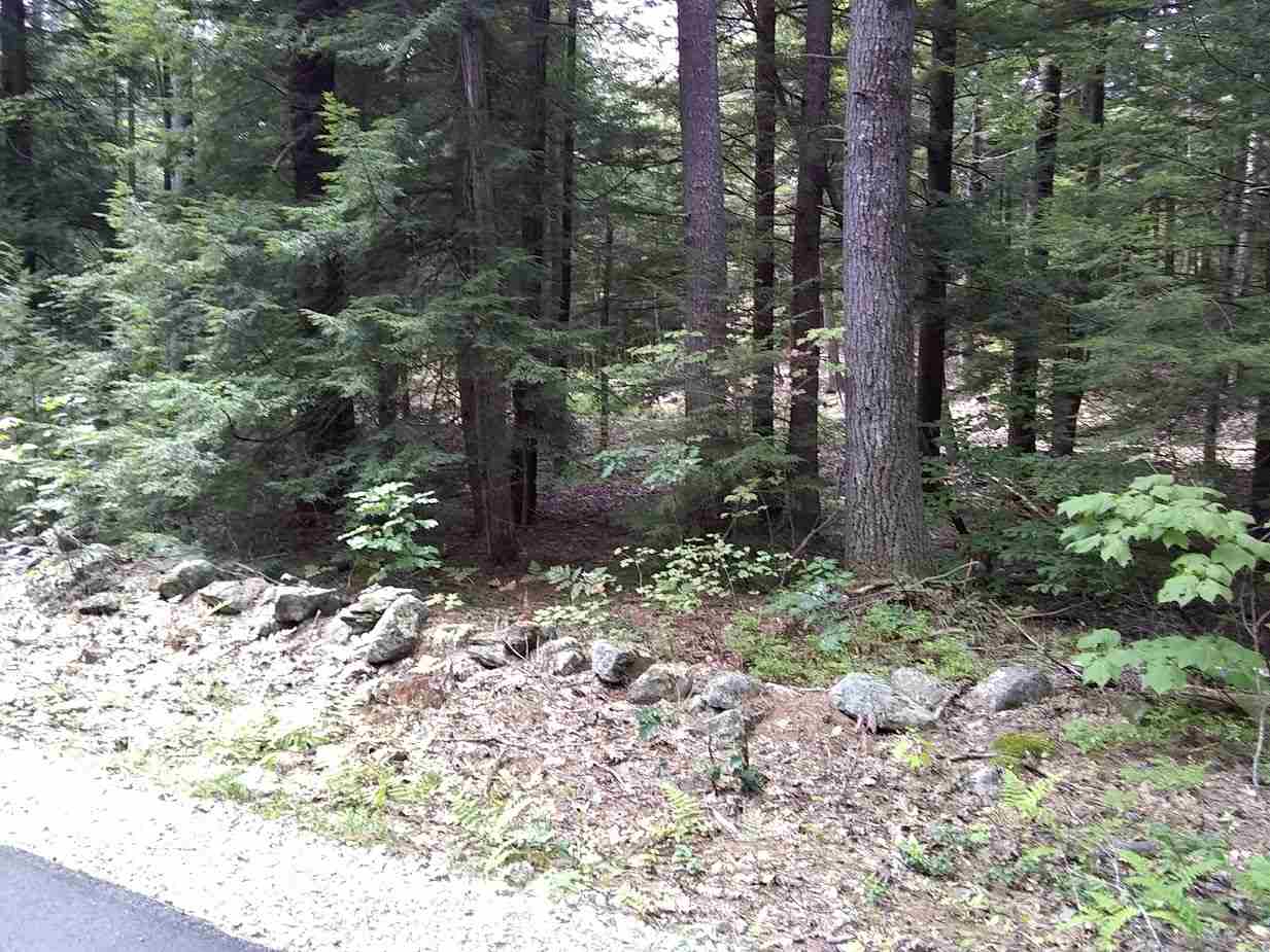 0 West Hill Road, Unit LOT 2614 Troy, NH 03465 - Photo 4 of 6 Gallery Image 4
