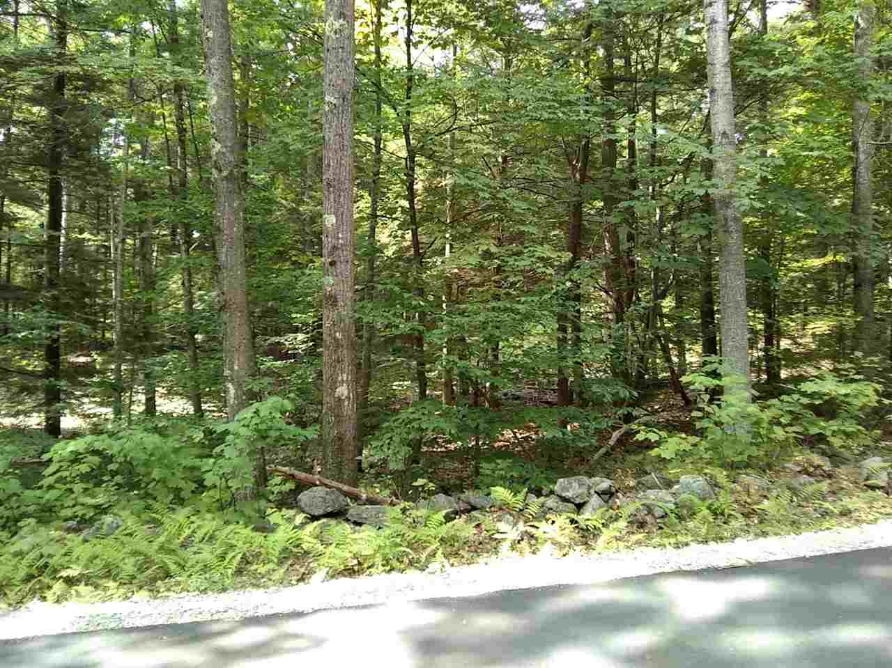 0 West Hill Road, Unit LOT 2614 Troy, NH 03465 - Photo 6 of 6 Gallery Image 6