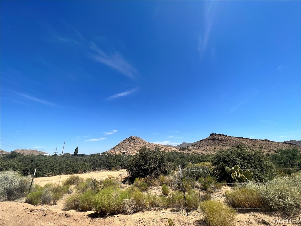 0 East Spring Valley Drive Hackberry, AZ 86411 - Photo 2 of 10
