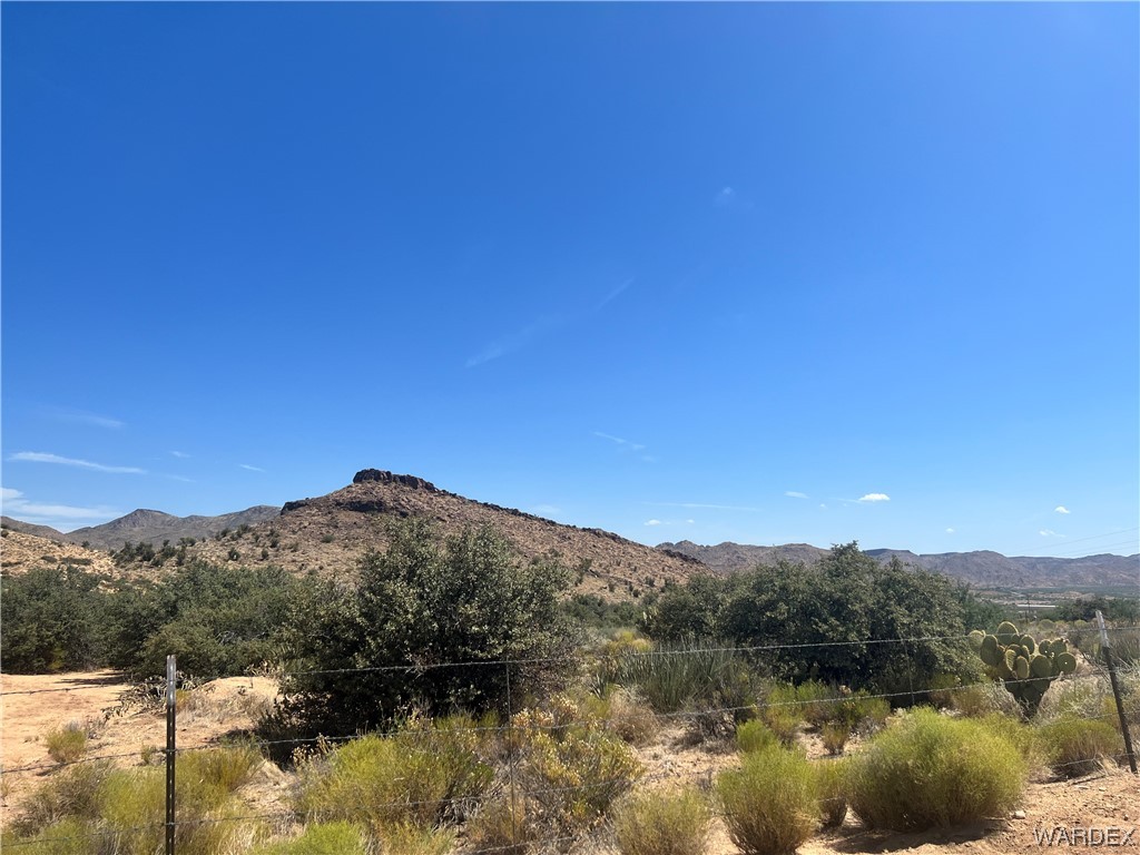 0 East Spring Valley Drive Hackberry, AZ 86411 - Photo 7 of 10