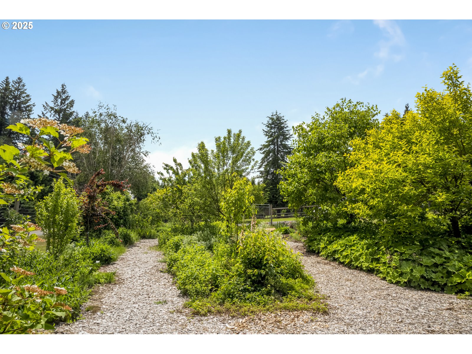 10623 Northeast Fox Farm Road Dundee, OR 97115 - Photo 45 of 47