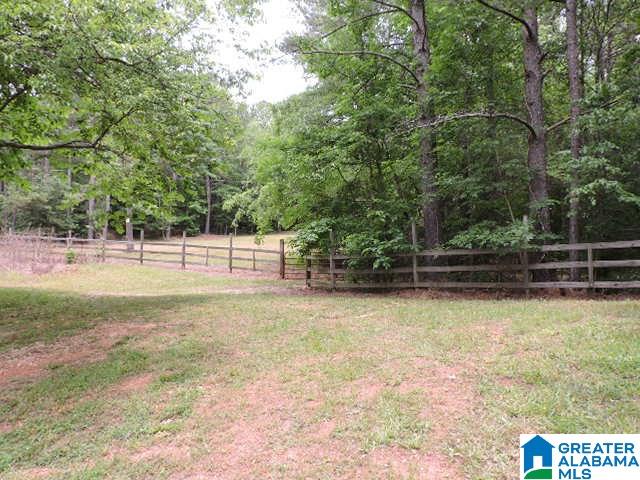 1328 Good Hope Delta Road Delta, AL 36258 - Photo 24 of 24