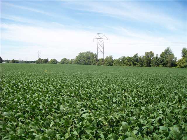 1332 Putnam Road Southwest Pataskala, OH 43062 - Photo 20 of 21