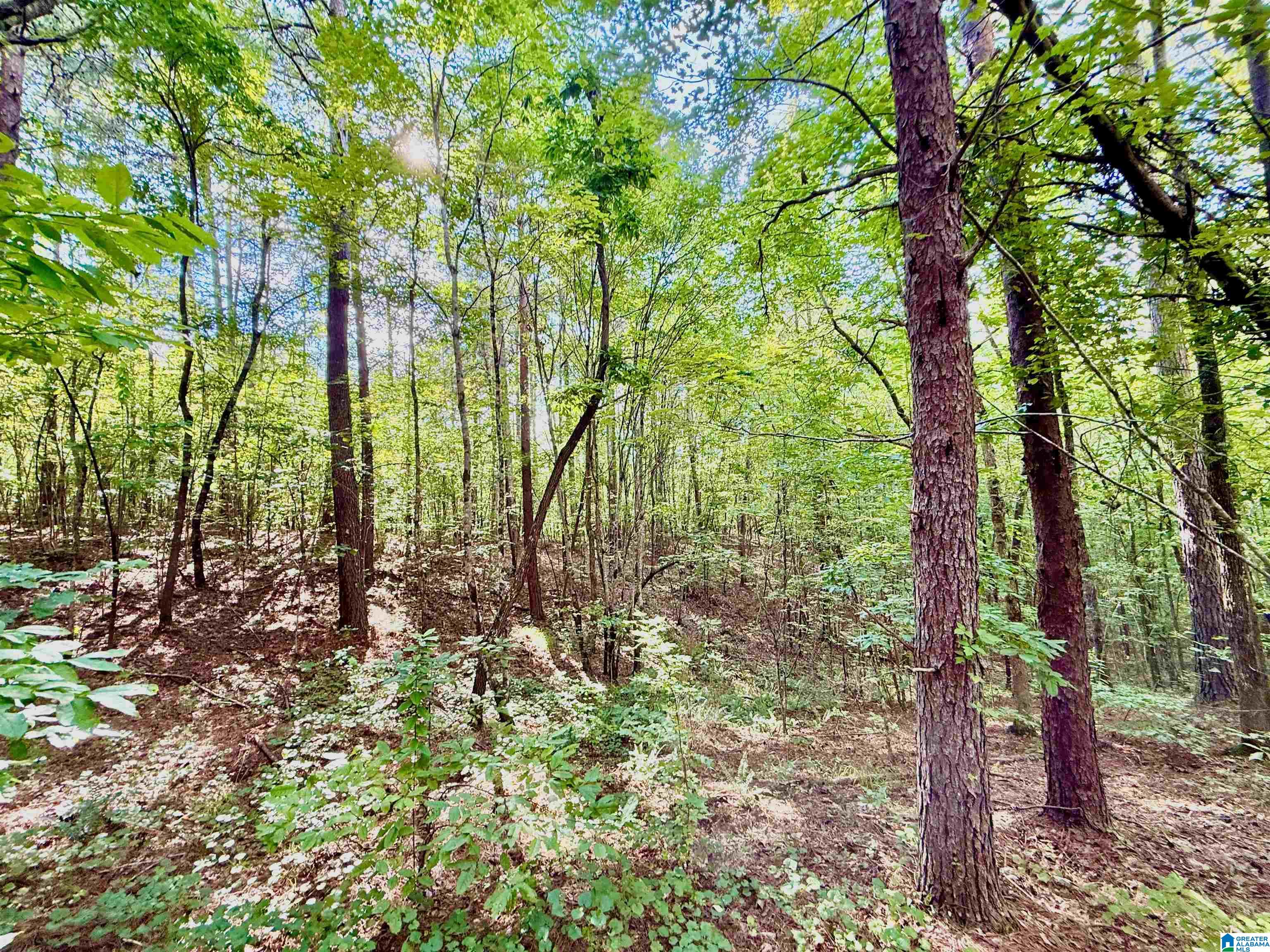 561 Maple Ridge Calera, AL 35040 - Photo 49 of 71