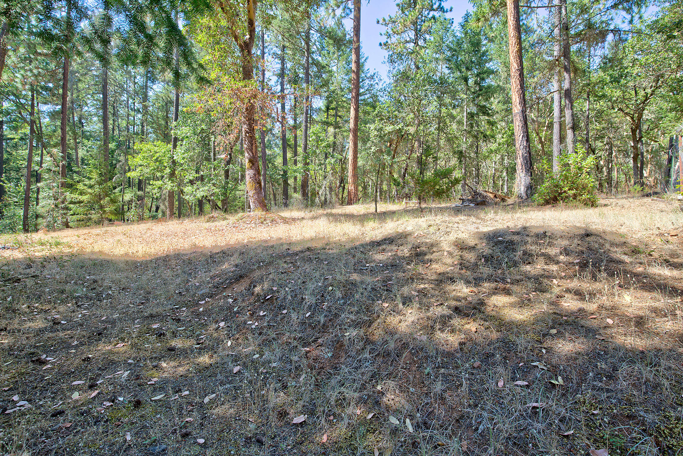 8744 North Applegate Road Grants Pass, OR 97527 - Photo 58 of 61 NApplegaterd050