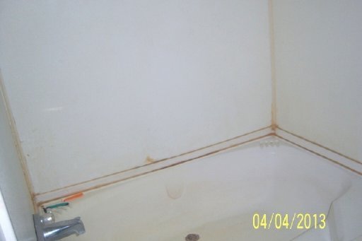 1375 Womac Hollow Road Ten Mile, TN 37880 - Photo 17 of 40 Additional Photo