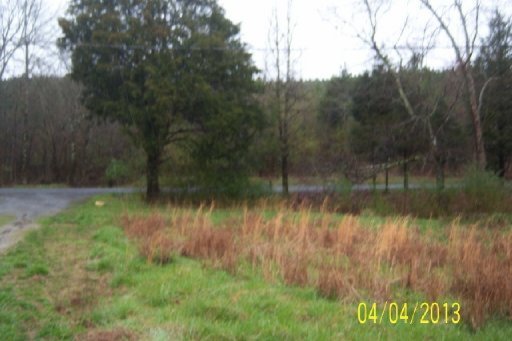 1375 Womac Hollow Road Ten Mile, TN 37880 - Photo 26 of 40 Additional Photo