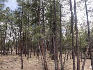 2380 South Pinegrass Road Show Low, AZ 85901 - Photo 3 of 6 Torreon Lakes