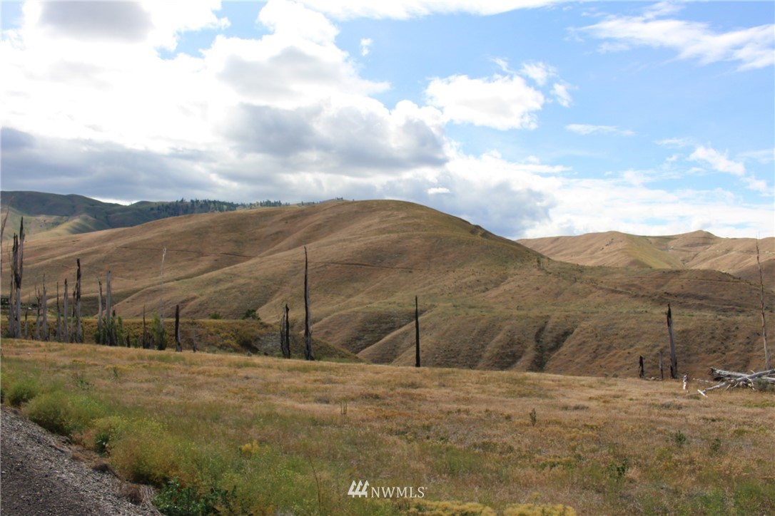 0 North Road Wenatchee, WA 98801 - Photo 10 of 14 Gallery Image 10