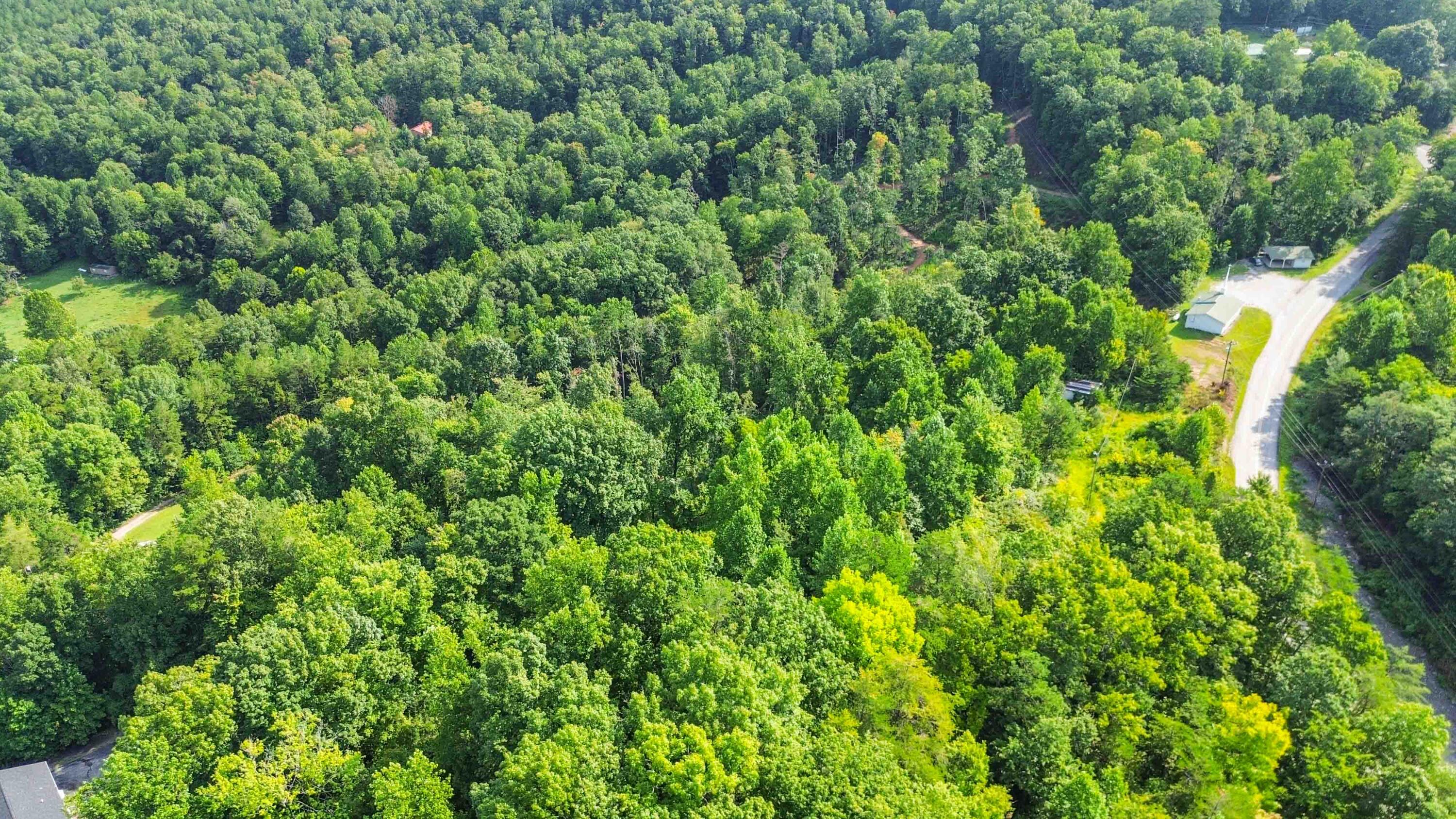 275 Dixie Bend Road Burnside, KY 42519 - Photo 14 of 15 011