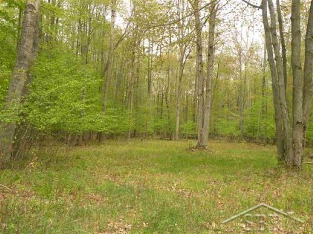 18405 Ithaca Road St. Charles, MI 48655 - Photo 6 of 8