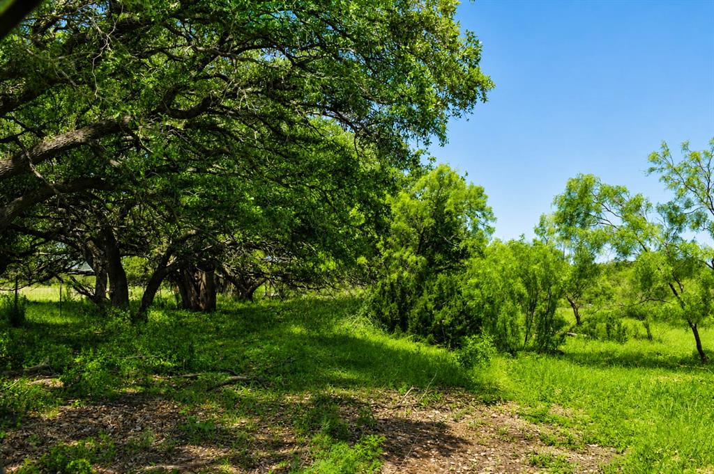 8228 Us Highway Rochelle, TX 76872 - Photo 22 of 36 a backyard of a house with lots of green space