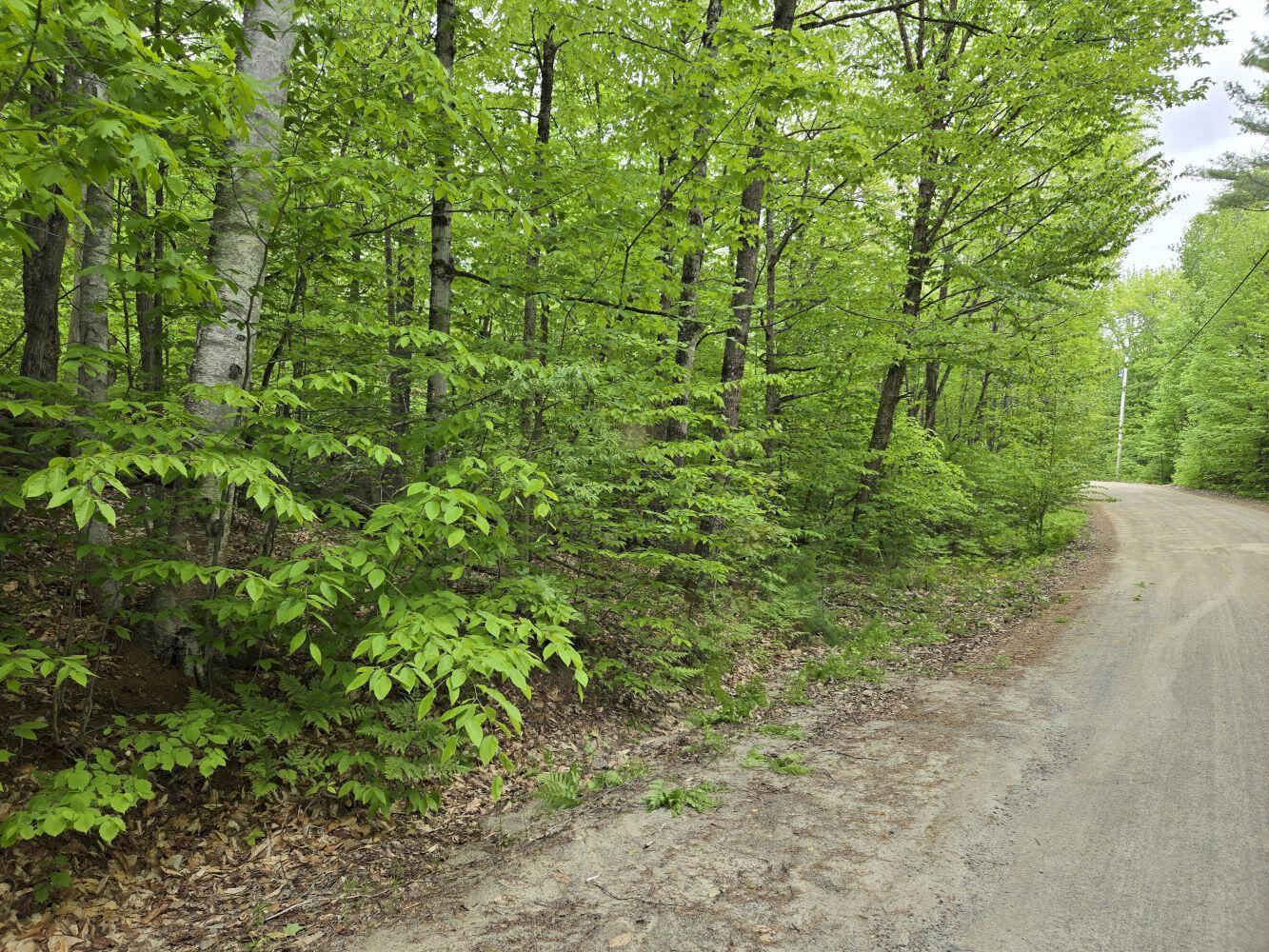Lot 10 Staples Pond Road Temple, ME 04984 - Photo 5 of 56 20260528_125911_result
