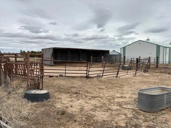 a view of a dry yard with wooden fence