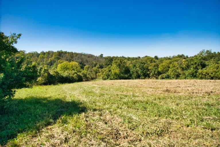 1080 Cole Road Winchester, KY 40391 - Photo 16 of 81 Photo 16