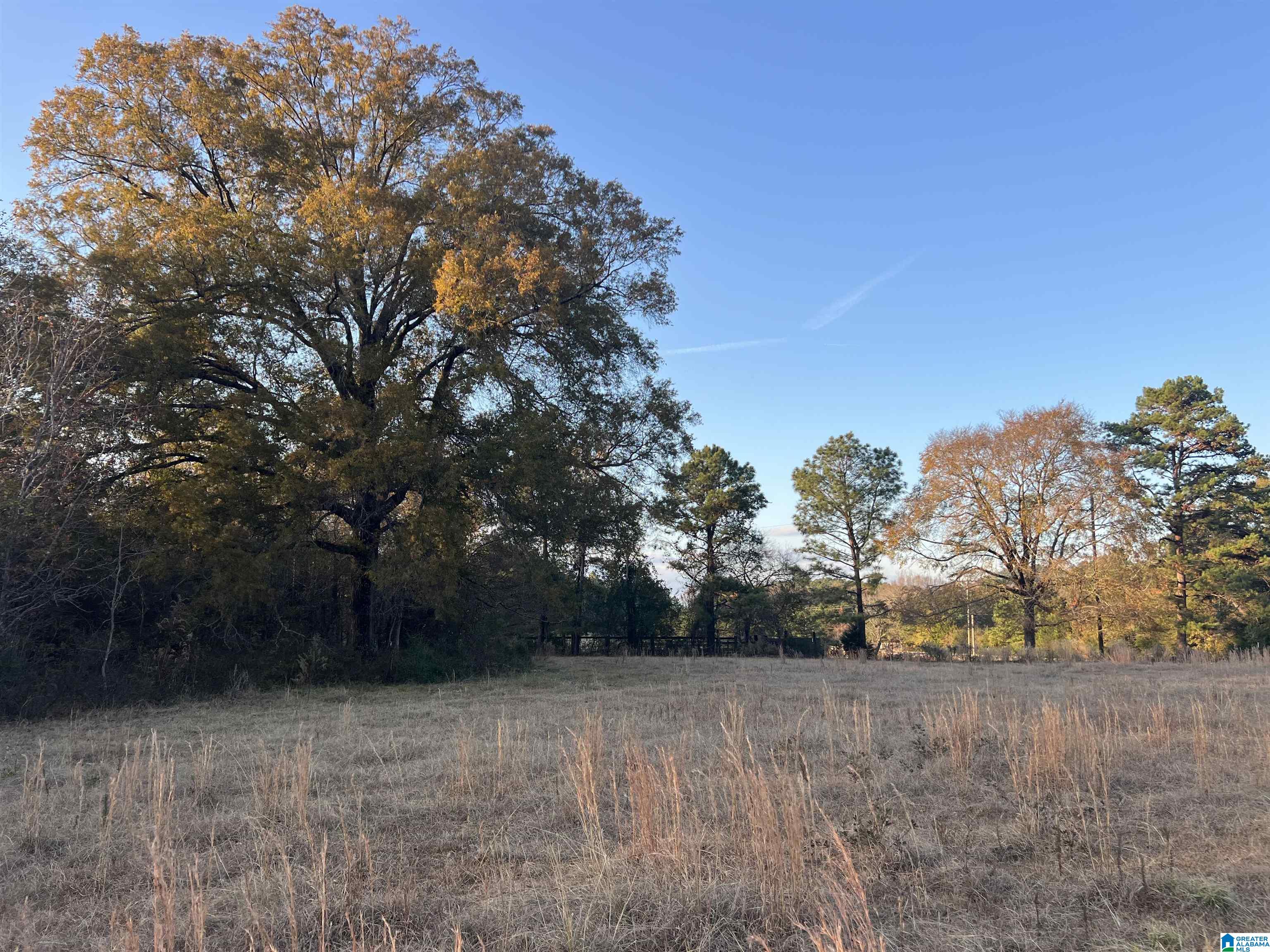 11-acres Risers Mill Road, Unit 11 ACRES Alpine, AL 35014 - Photo 1 of 23