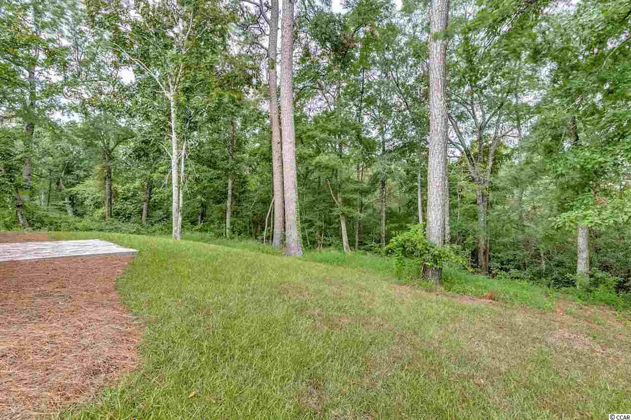 230 Rivers Edge Drive Conway, SC 29526 - Photo 21 of 23 Gallery Image 21